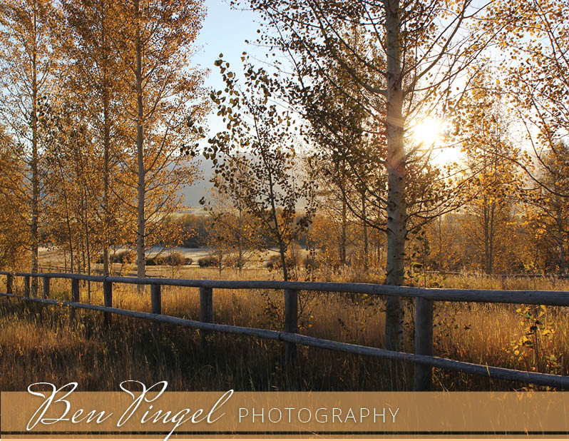 Ben Pingel Photography Photobook Cover