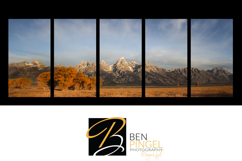 Ben-Pingel-Fine-Art-Template