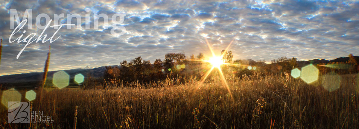 BenPingel_MorningLight