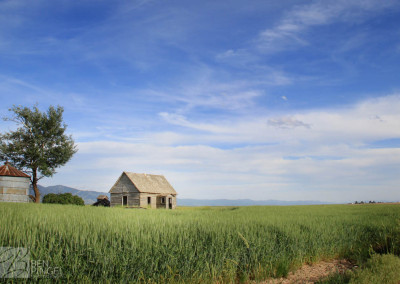 Abandoned house in field Bancroft, Idaho