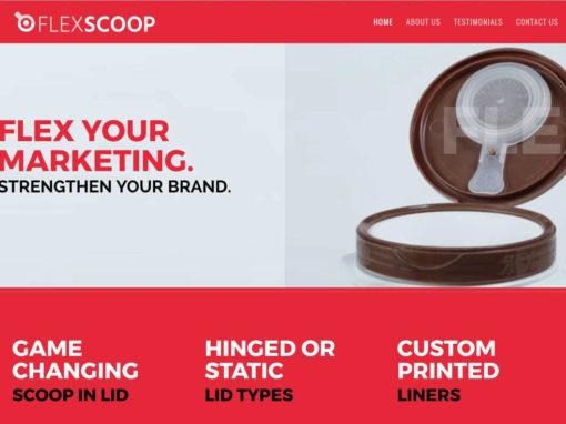 FlexScoop Website