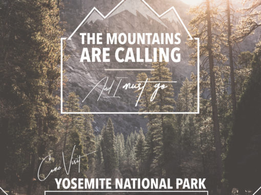 Yosemite National Park Personal Design Project