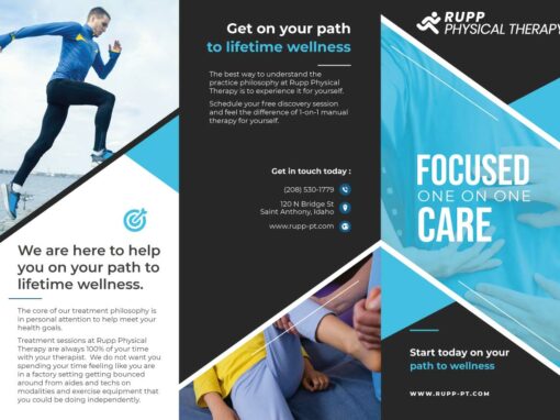 Physical Therapy Brochure