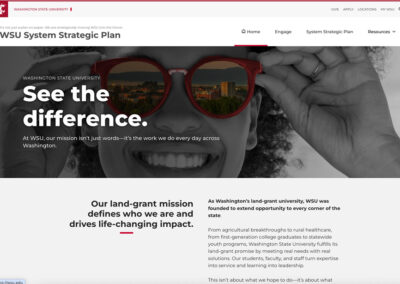 Strategic Plan Website